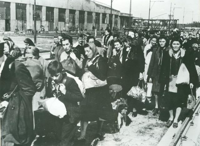 In Pruszków gefangene Frauen und Kinder auf dem Weg zur Verladung | gemeinfrei, commons.wikimedia.org